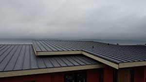 Best Steel Roofing  in Southgate, FL